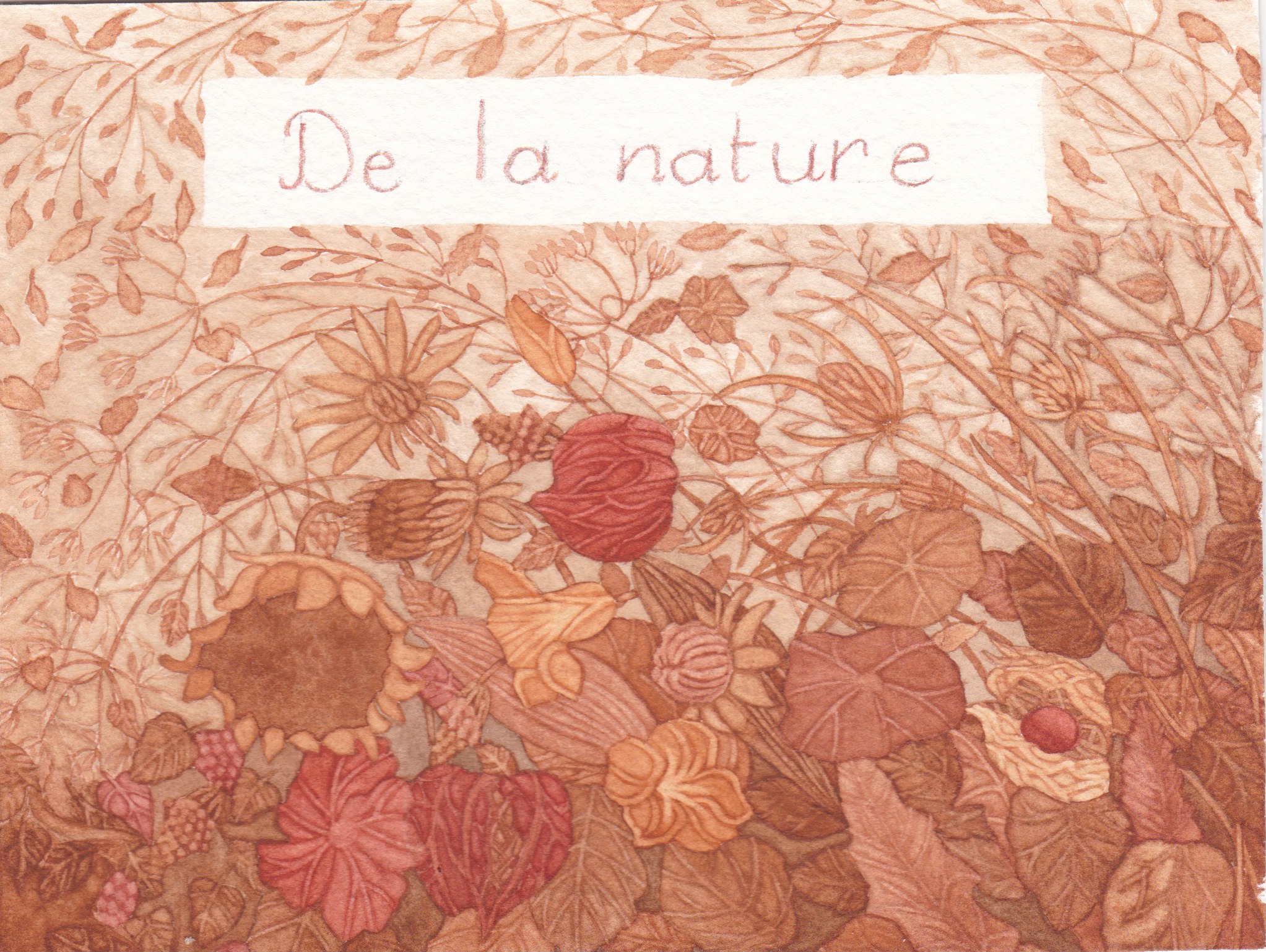 La nature